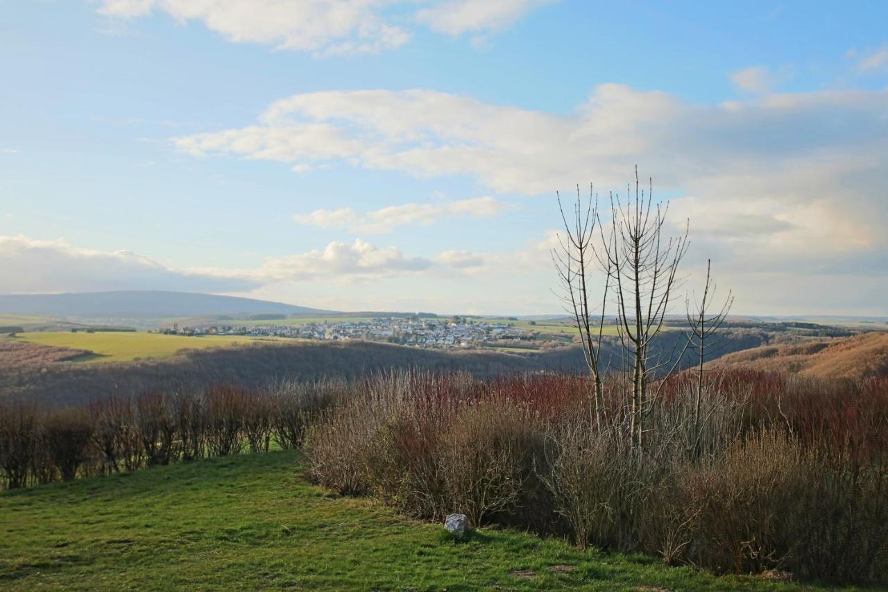 Hunsrueck Valley View Apartment With Cedar Sauna Bruschied エクステリア 写真