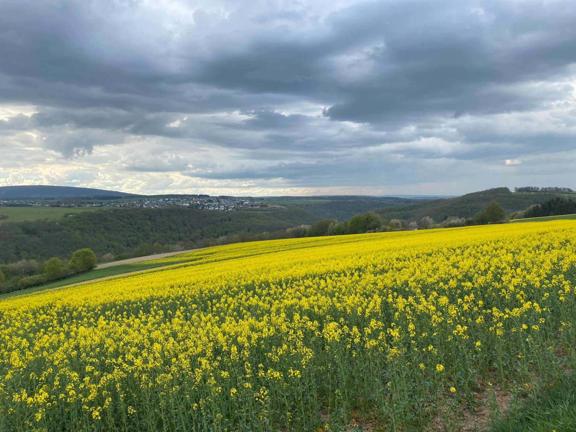 Hunsrueck Valley View Apartment With Cedar Sauna Bruschied エクステリア 写真