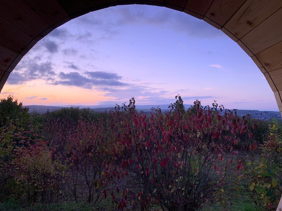 Hunsrueck Valley View Apartment With Cedar Sauna Bruschied エクステリア 写真